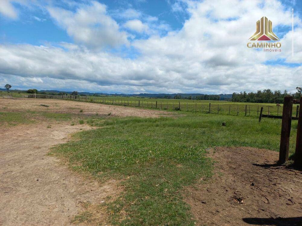 Chácara, 6 quartos, 60 hectares - Foto 2