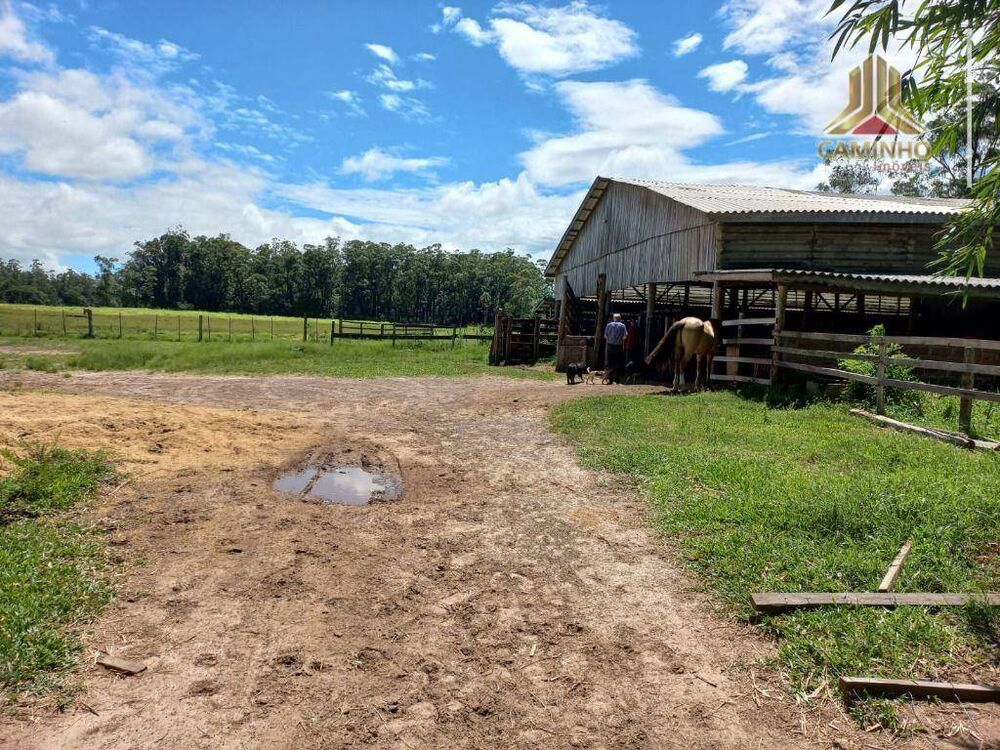Chácara, 6 quartos, 60 hectares - Foto 3