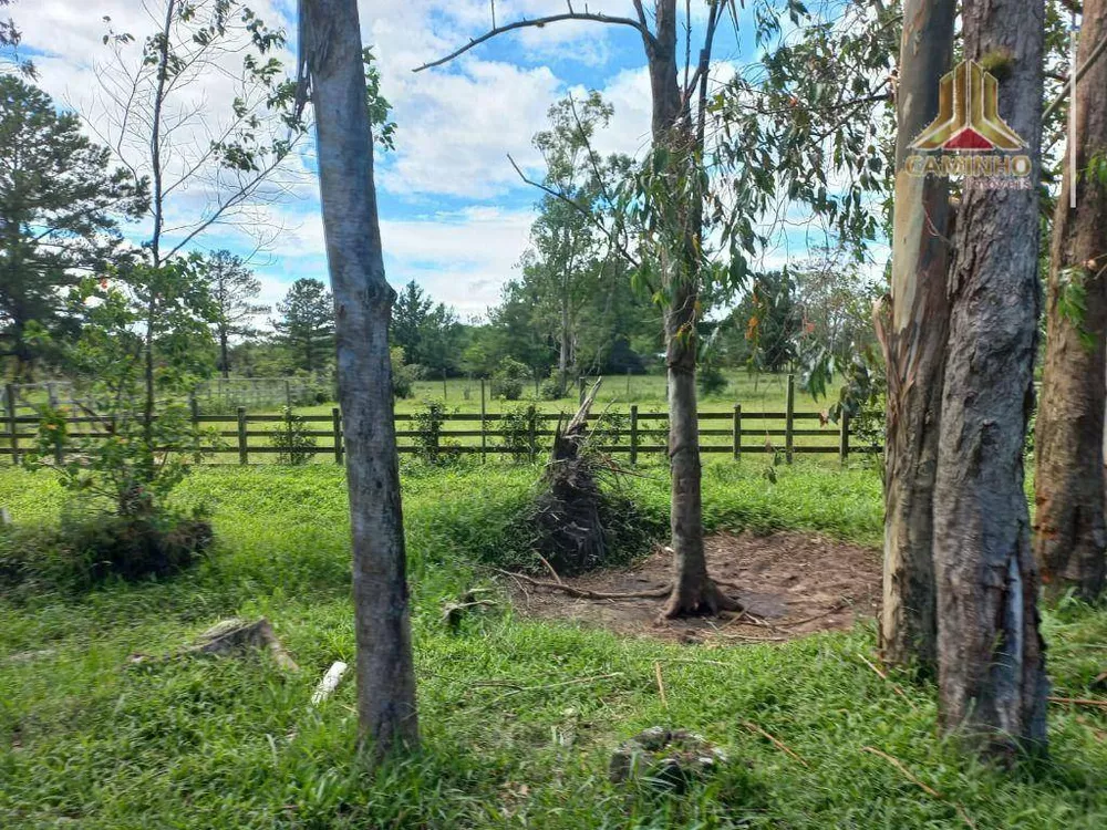 Chácara, 6 quartos, 60 hectares - Foto 4