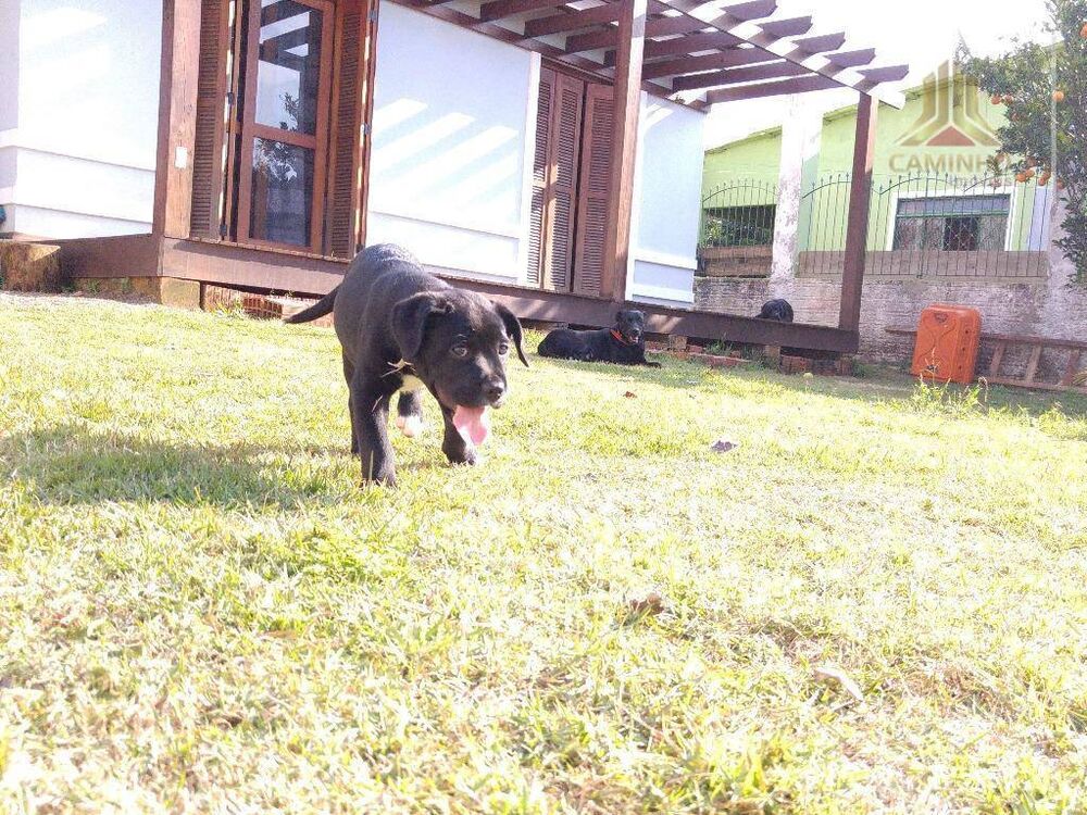 Casa, 2 quartos, 70 m² - Foto 4