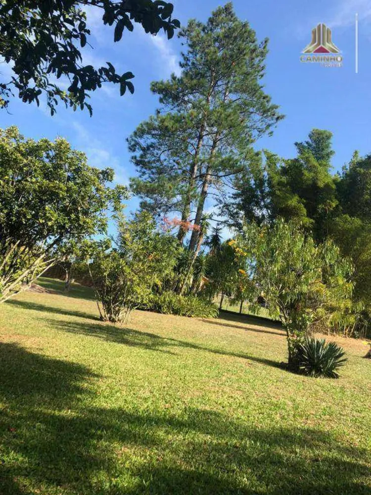 Sítio, 2000 m² - Foto 4