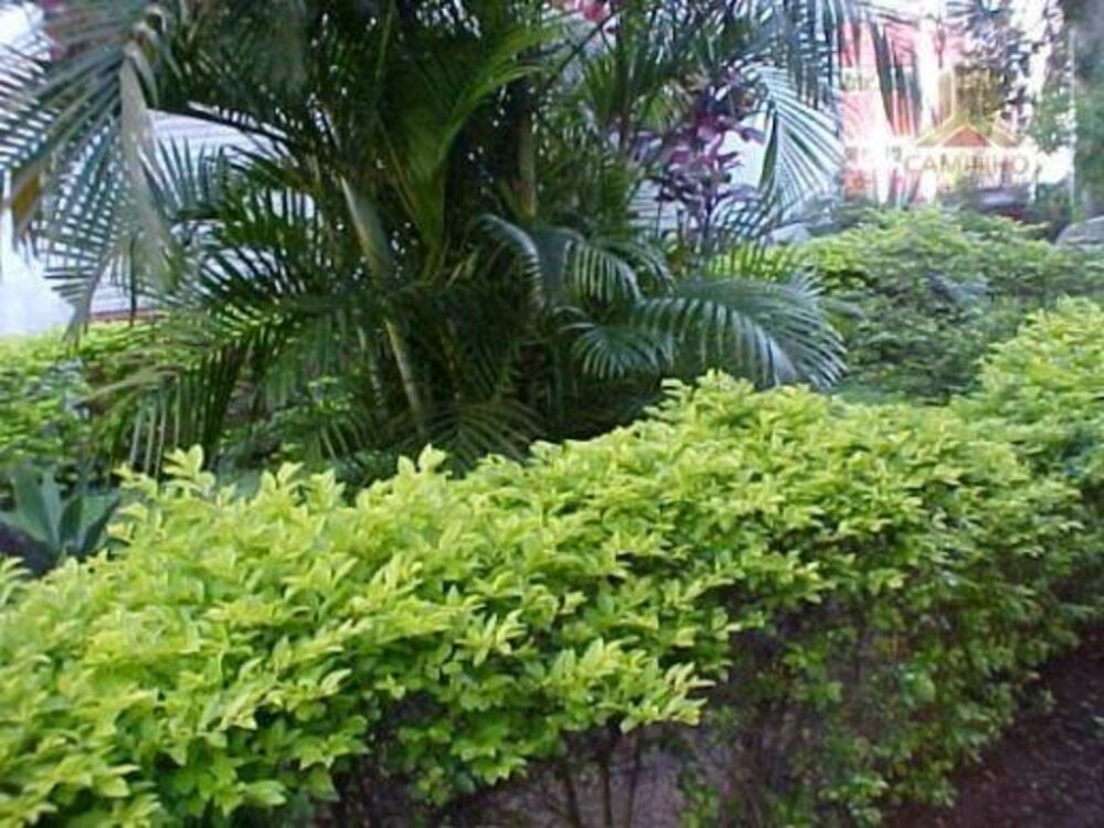 Apartamento, 1 quarto, 42 m² - Foto 6