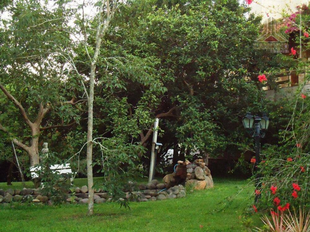 Sítio, 5 quartos, 4 hectares - Foto 5