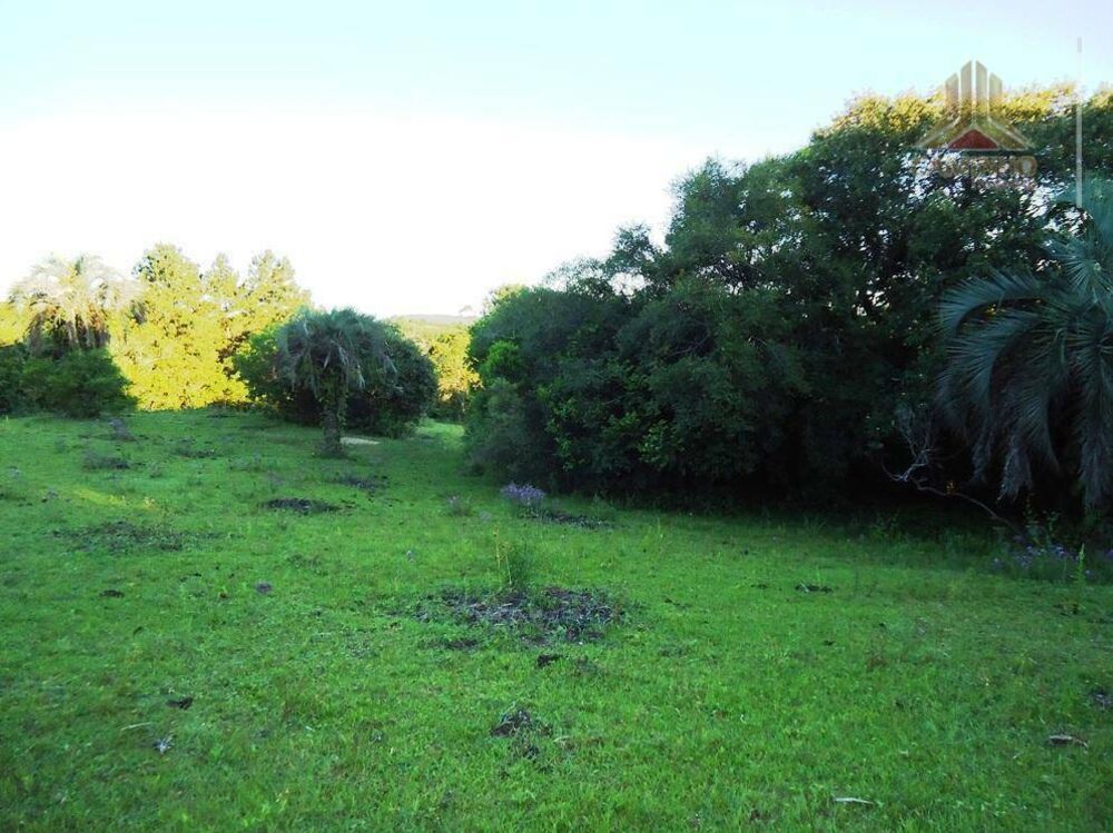 Sítio, 5 quartos, 4 hectares - Foto 8