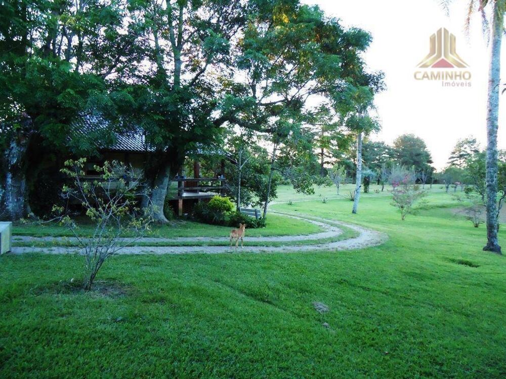 Sítio, 5 quartos, 4 hectares - Foto 1