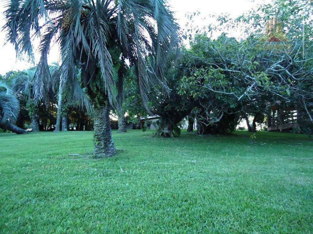 Sítio, 5 quartos, 4 hectares - Foto 3