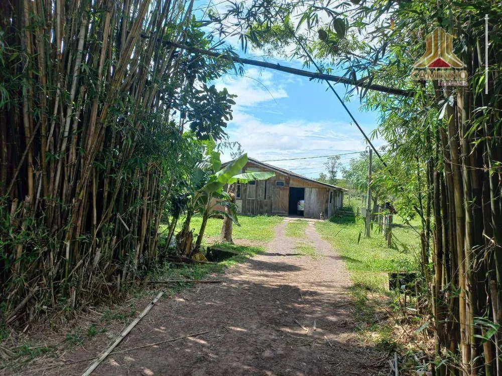 Chácara, 6 quartos, 60 hectares - Foto 4