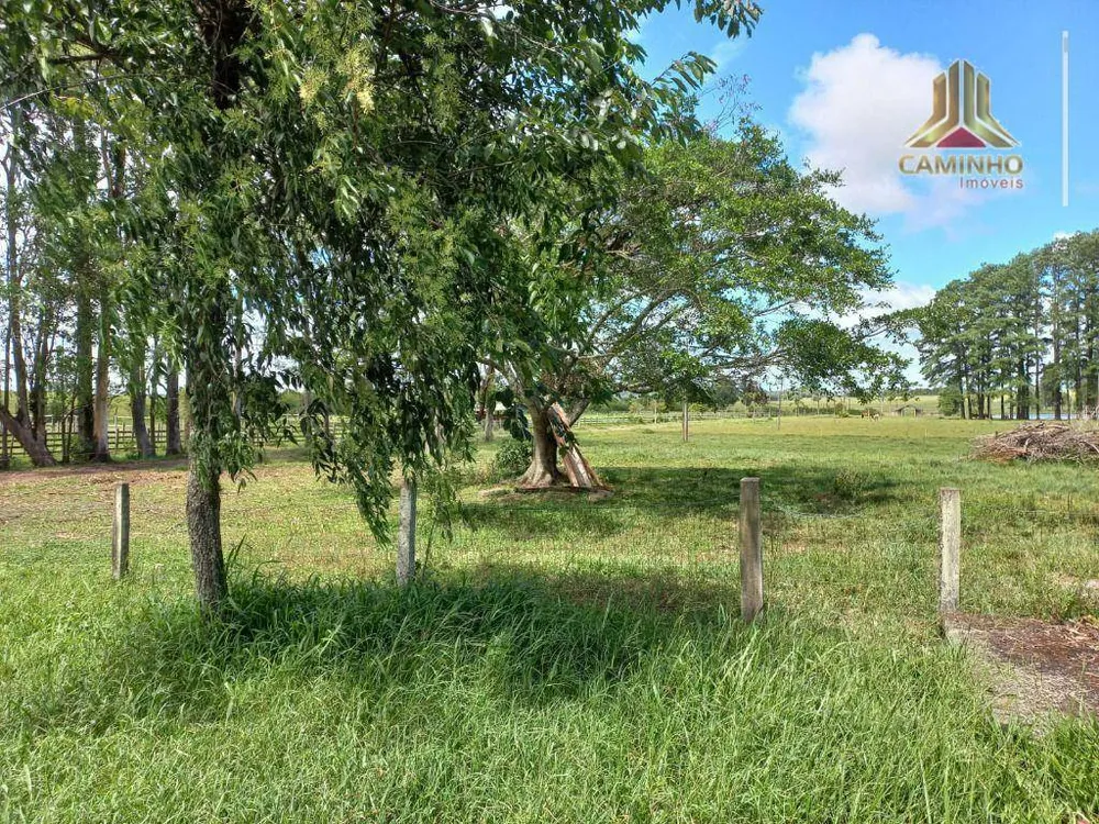 Chácara, 6 quartos, 60 hectares - Foto 1
