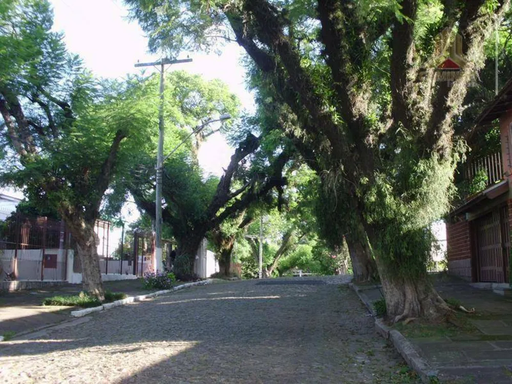 Terreno, 330 m² - Foto 2