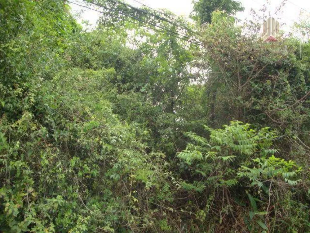 Terreno, 2850 m² - Foto 6