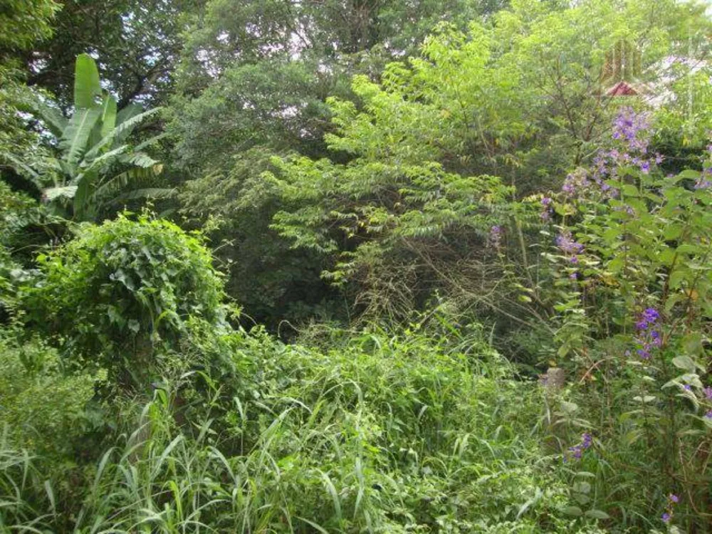 Terreno, 2850 m² - Foto 10