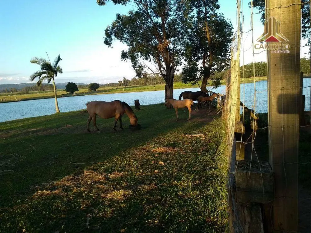 Sítio, 6 quartos, 60 hectares - Foto 1
