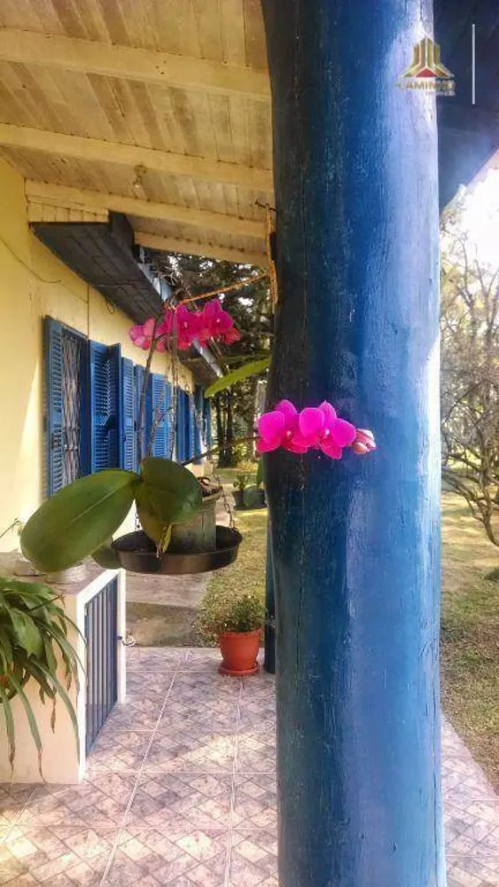 Sítio, 6 quartos, 60 hectares - Foto 8