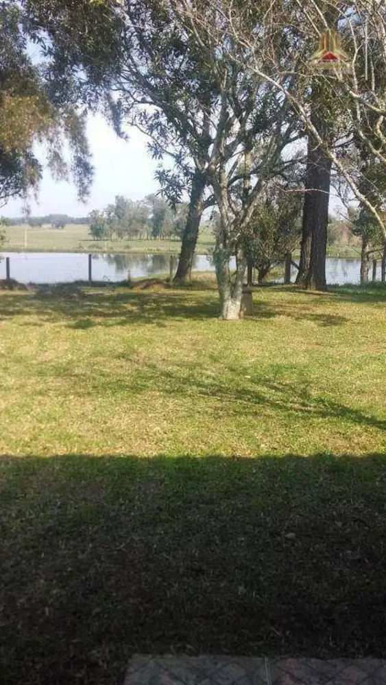 Sítio, 6 quartos, 60 hectares - Foto 7