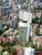 Apartamento, 4 quartos, 336 m² - Foto 2
