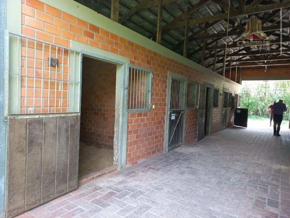 Fazenda, 60 hectares - Foto 6