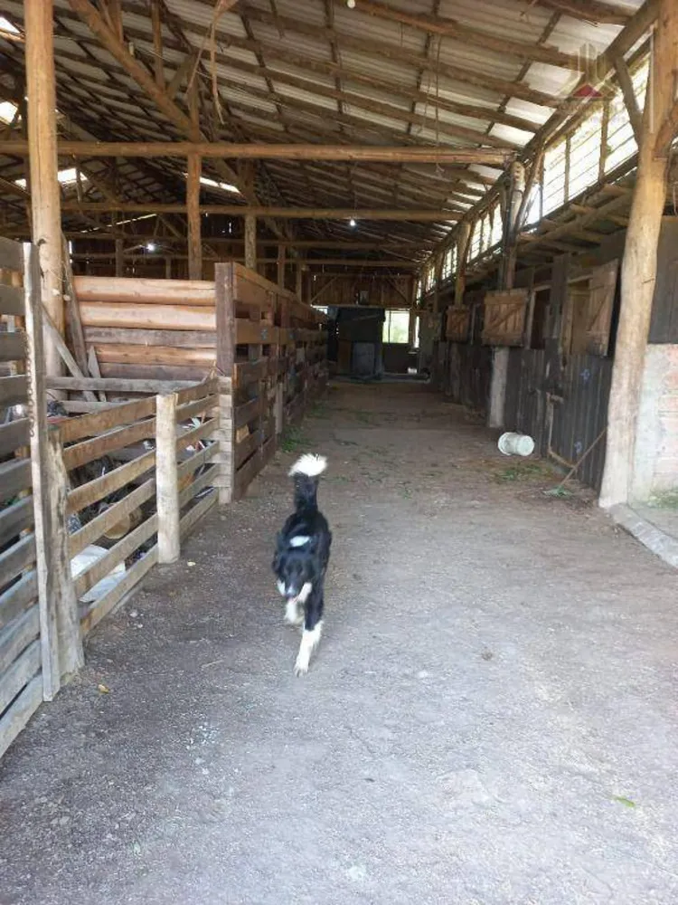 Fazenda, 60 hectares - Foto 4
