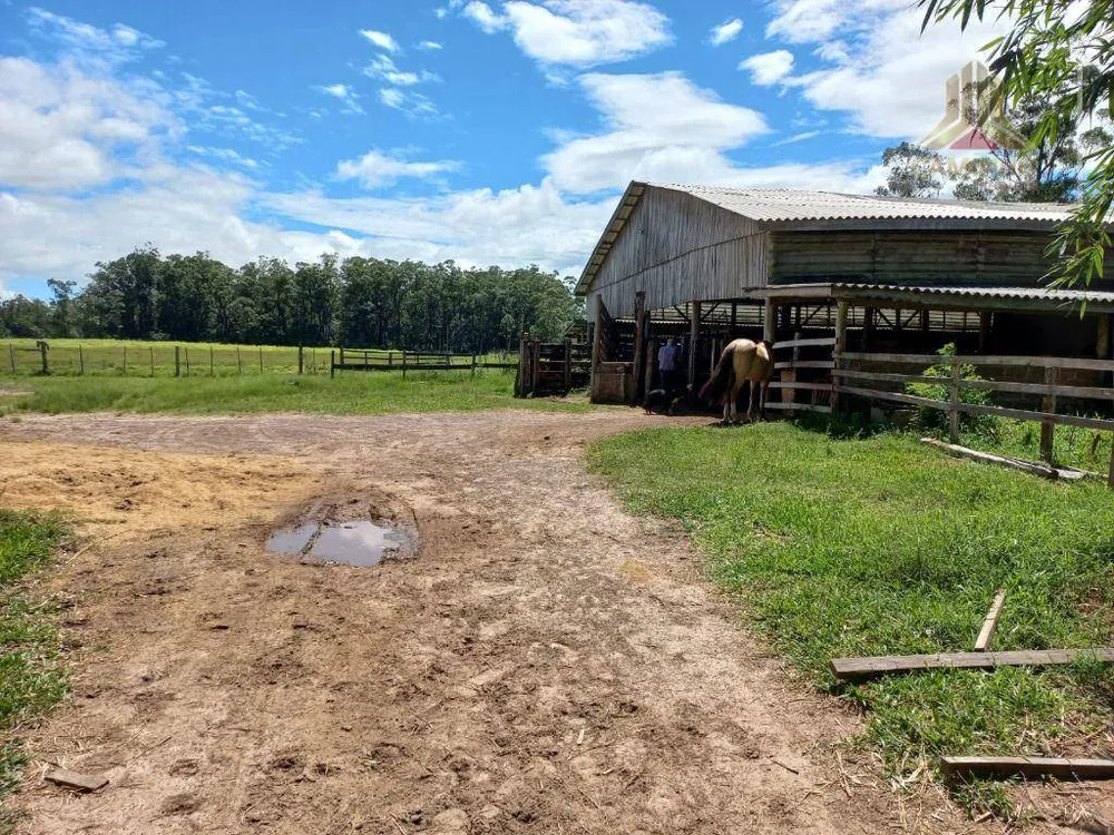 Fazenda, 60 hectares - Foto 3