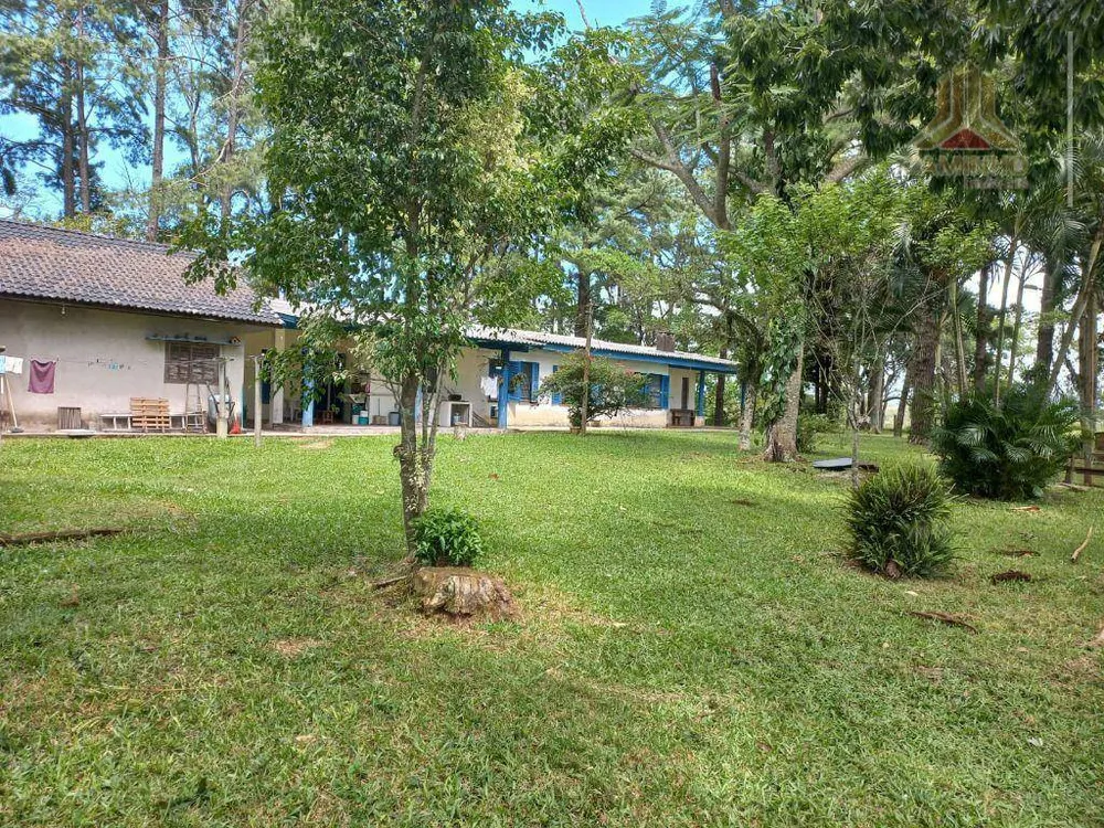 Fazenda, 60 hectares - Foto 1