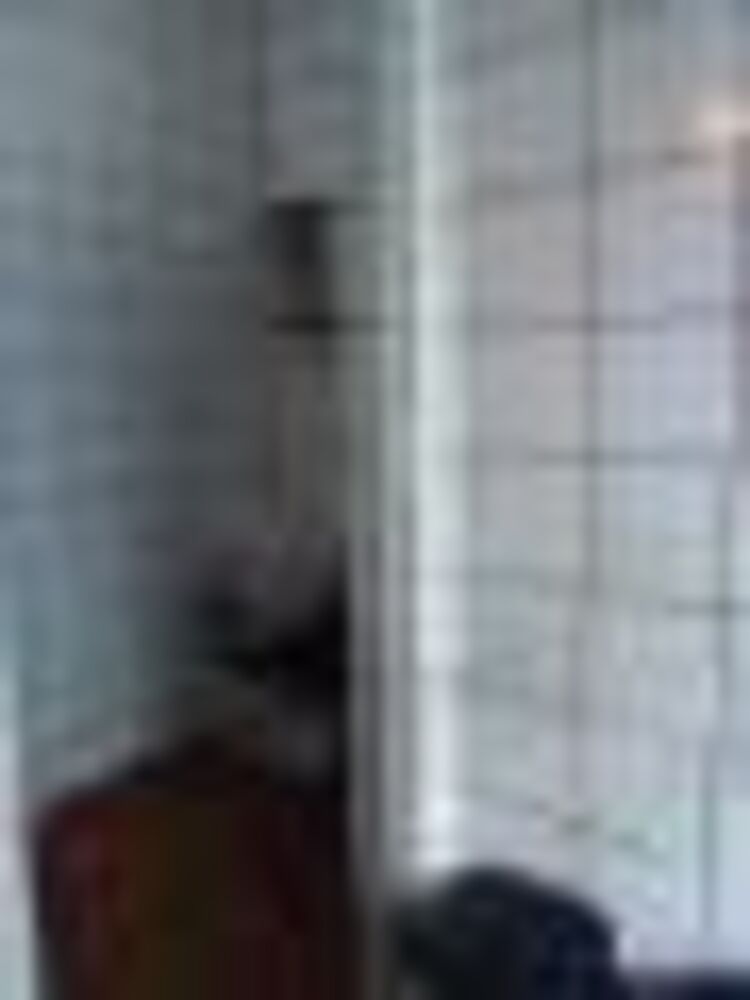 Apartamento à venda com 2 quartos, 54m² - Foto 6
