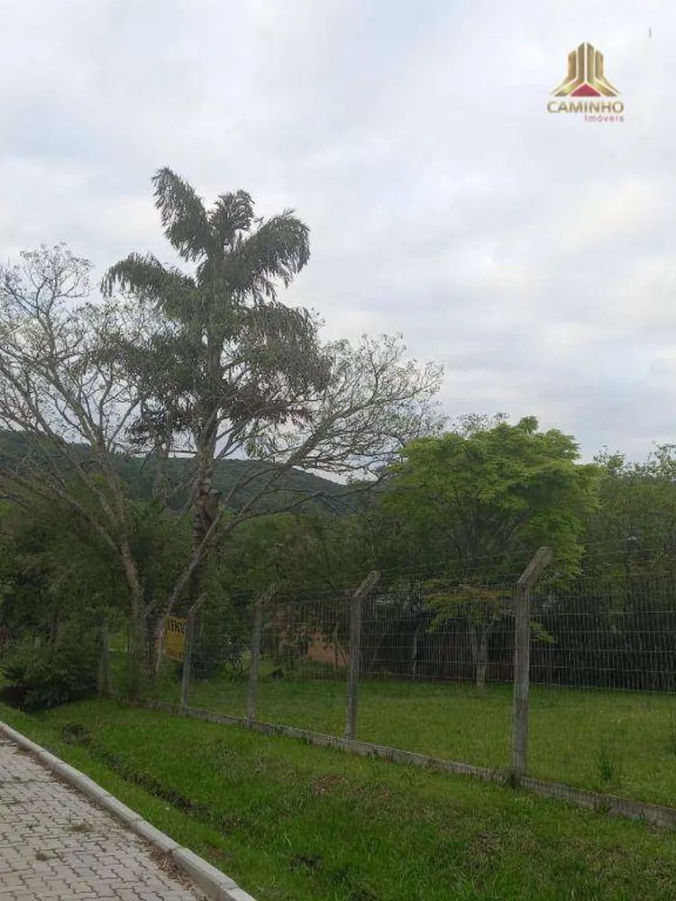 Terreno, 2000 m² - Foto 8
