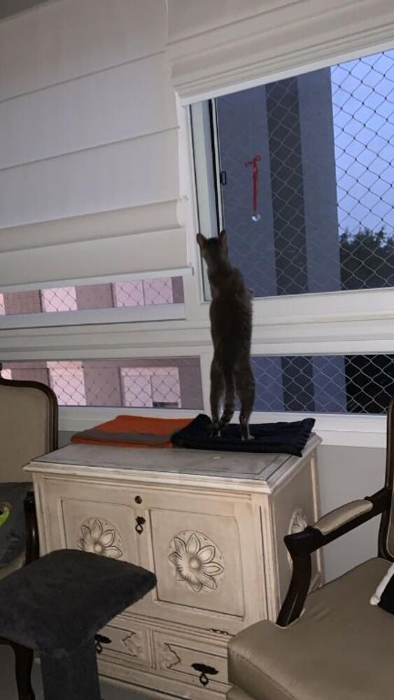 Apartamento à venda com 2 quartos, 80m² - Foto 13