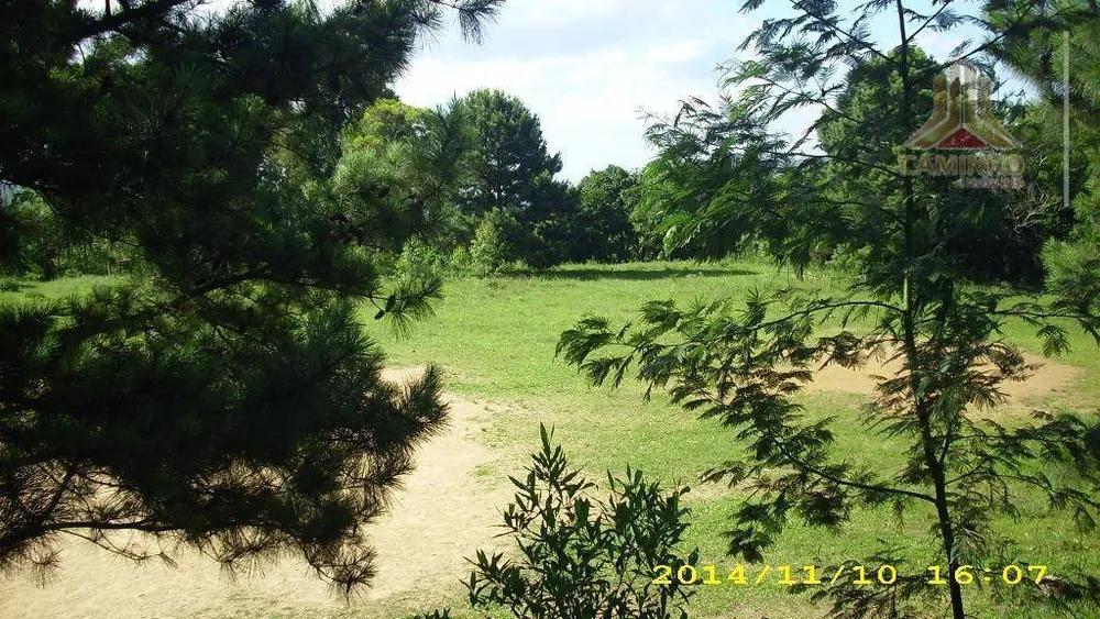 Terreno, 4 hectares - Foto 3
