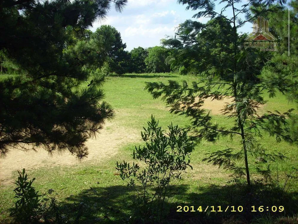 Terreno, 4 hectares - Foto 6
