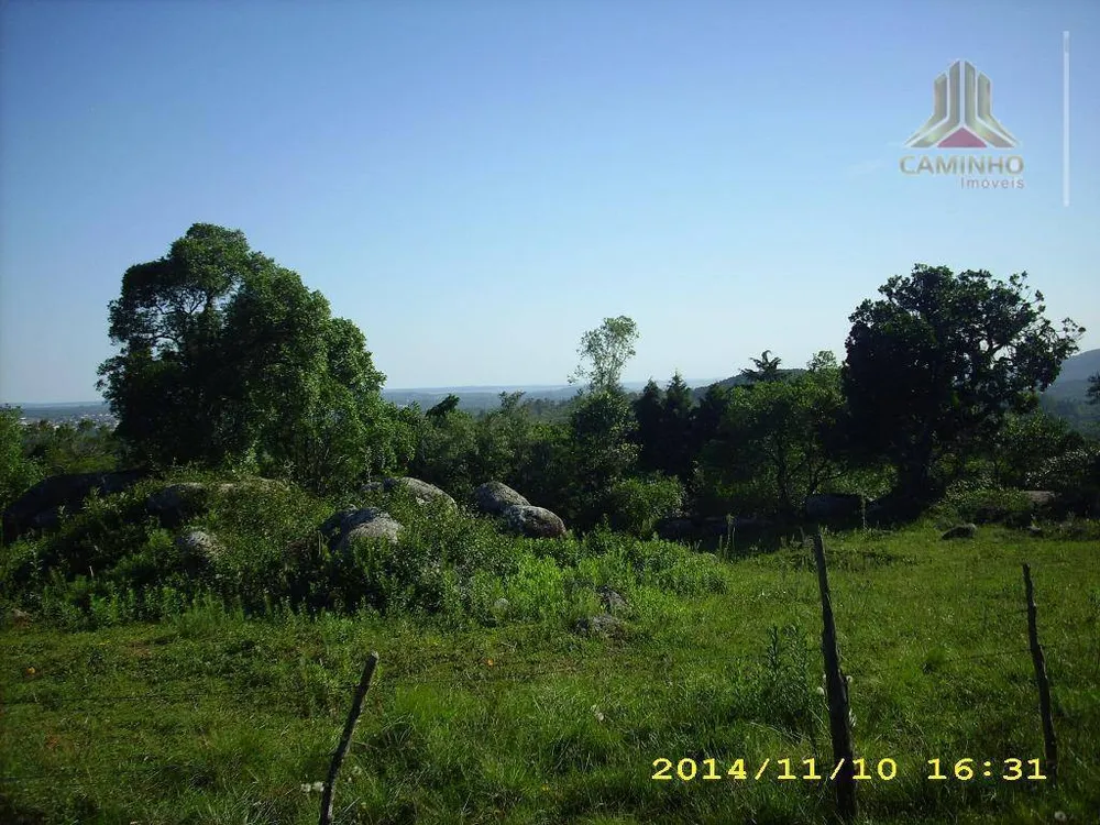 Terreno, 4 hectares - Foto 12