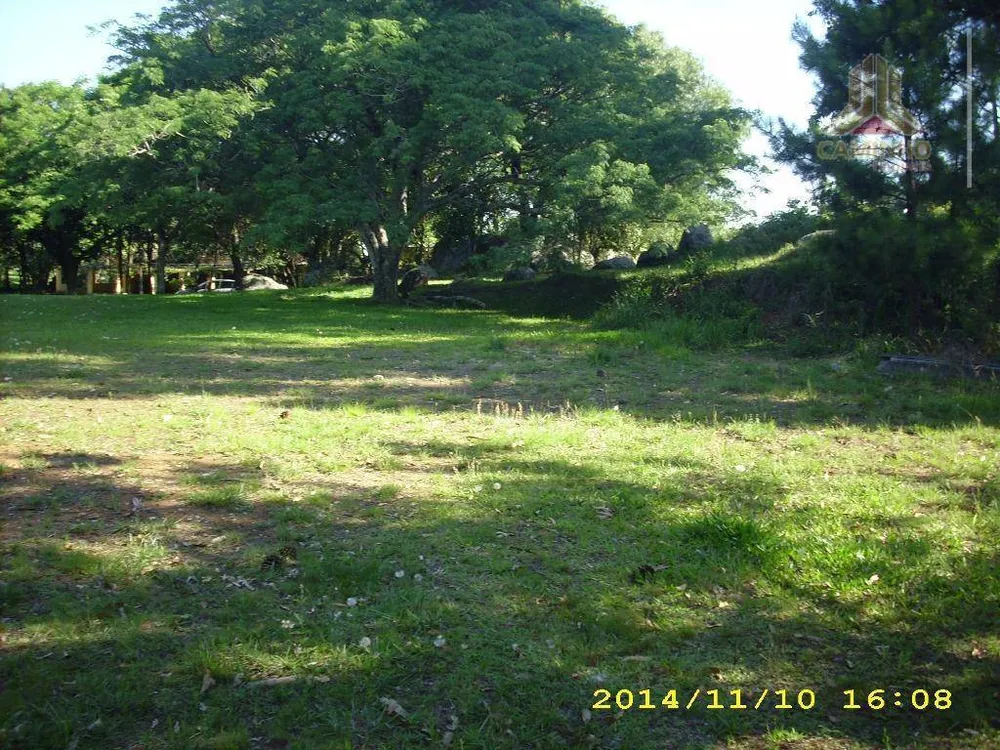 Terreno, 4 hectares - Foto 5