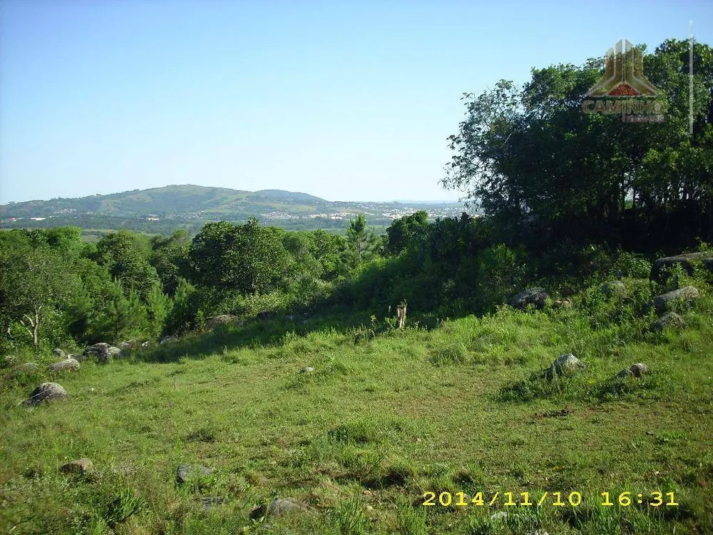 Terreno, 4 hectares - Foto 11