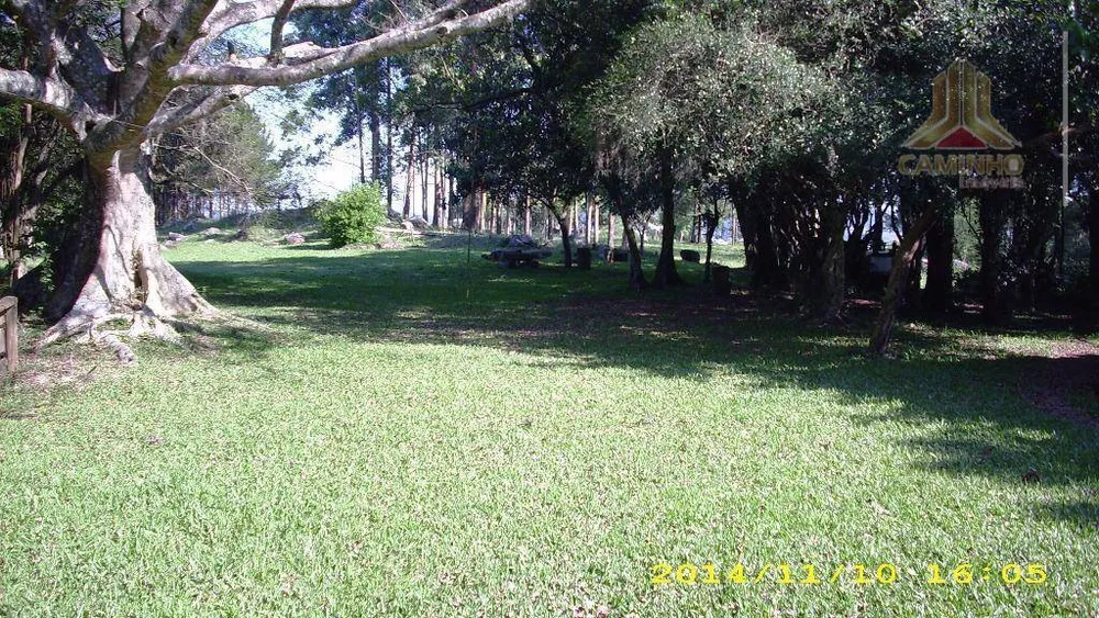 Terreno, 4 hectares - Foto 1