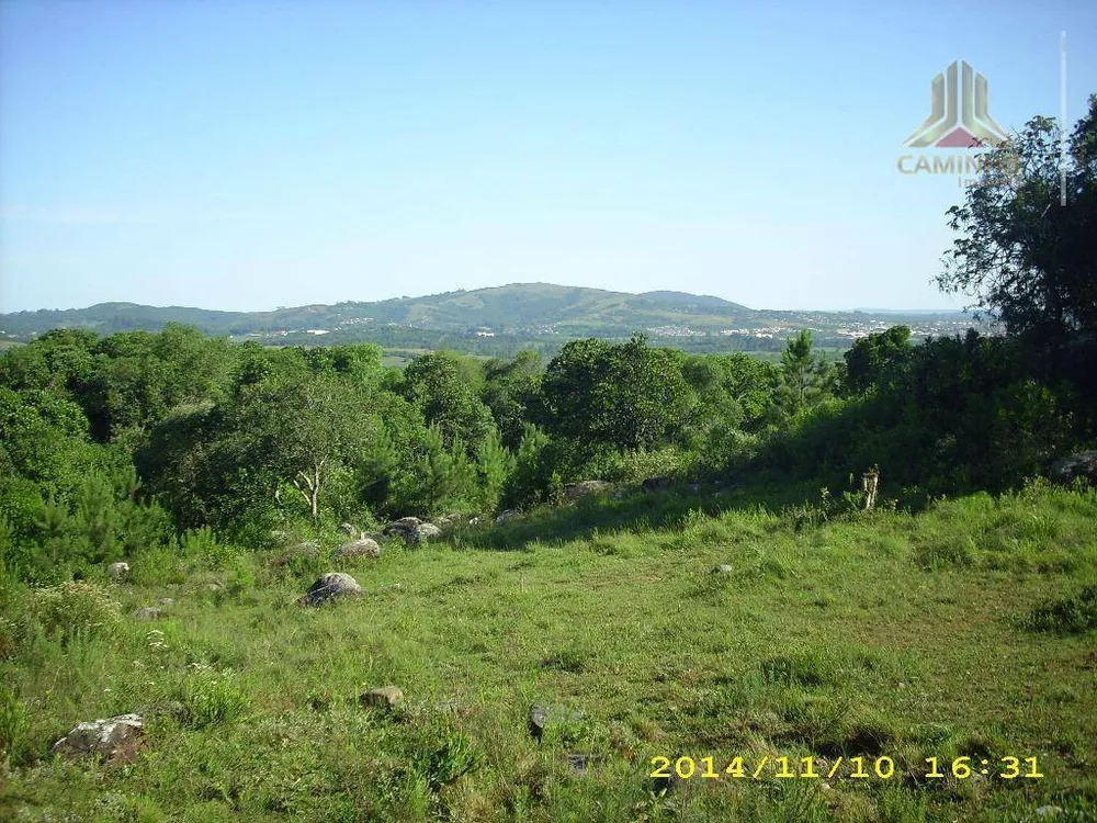 Terreno, 4 hectares - Foto 10