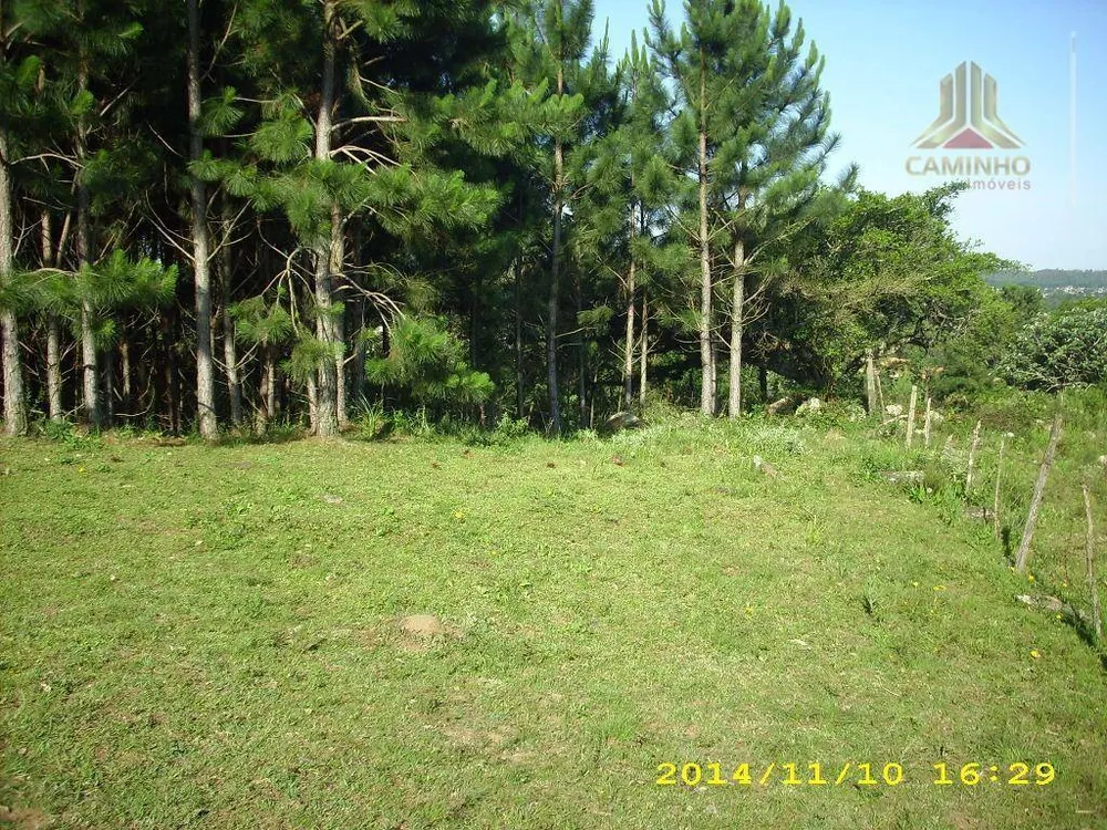 Terreno, 4 hectares - Foto 9