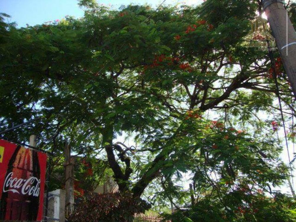 Loja-Salão, 102 m² - Foto 7