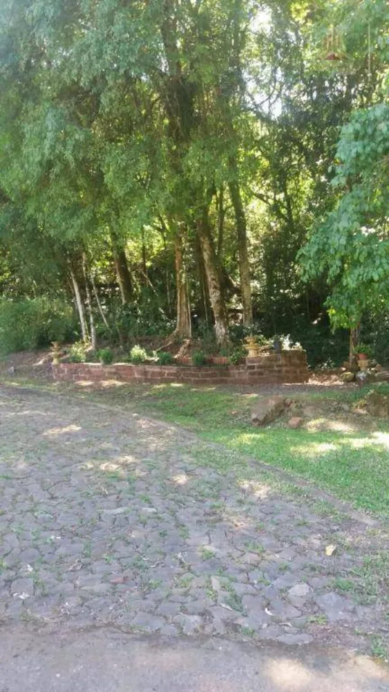 Sítio, 3 quartos, 1 hectares - Foto 4