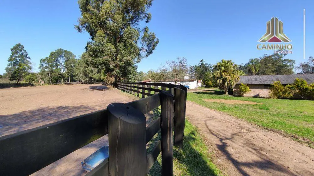 Fazenda, 6 hectares - Foto 7