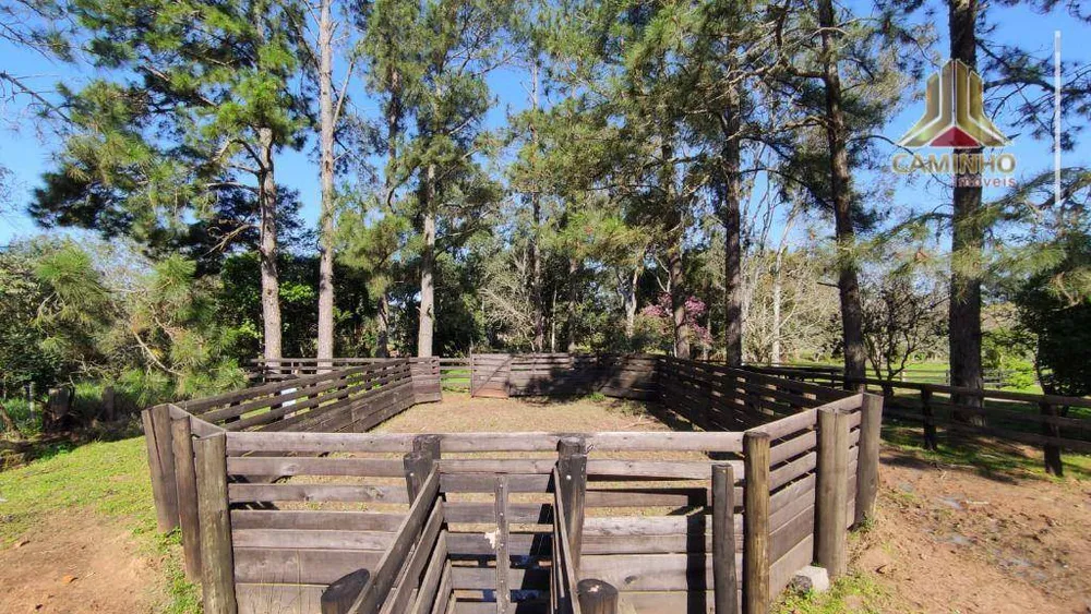Fazenda, 6 hectares - Foto 5