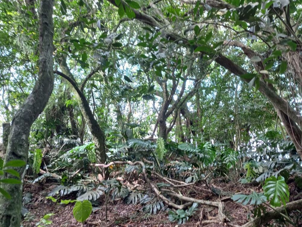 Casa, 3 quartos, 120 m² - Foto 16