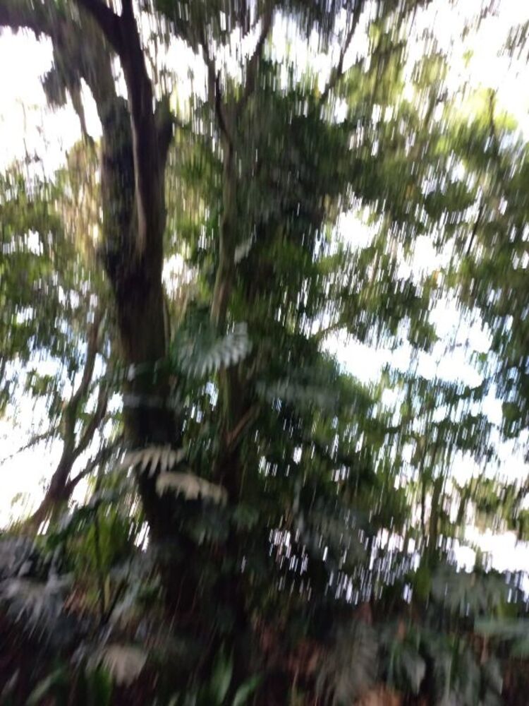 Casa, 3 quartos, 120 m² - Foto 17