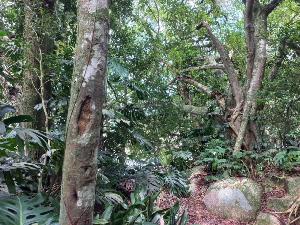 Casa, 3 quartos, 120 m² - Foto 15