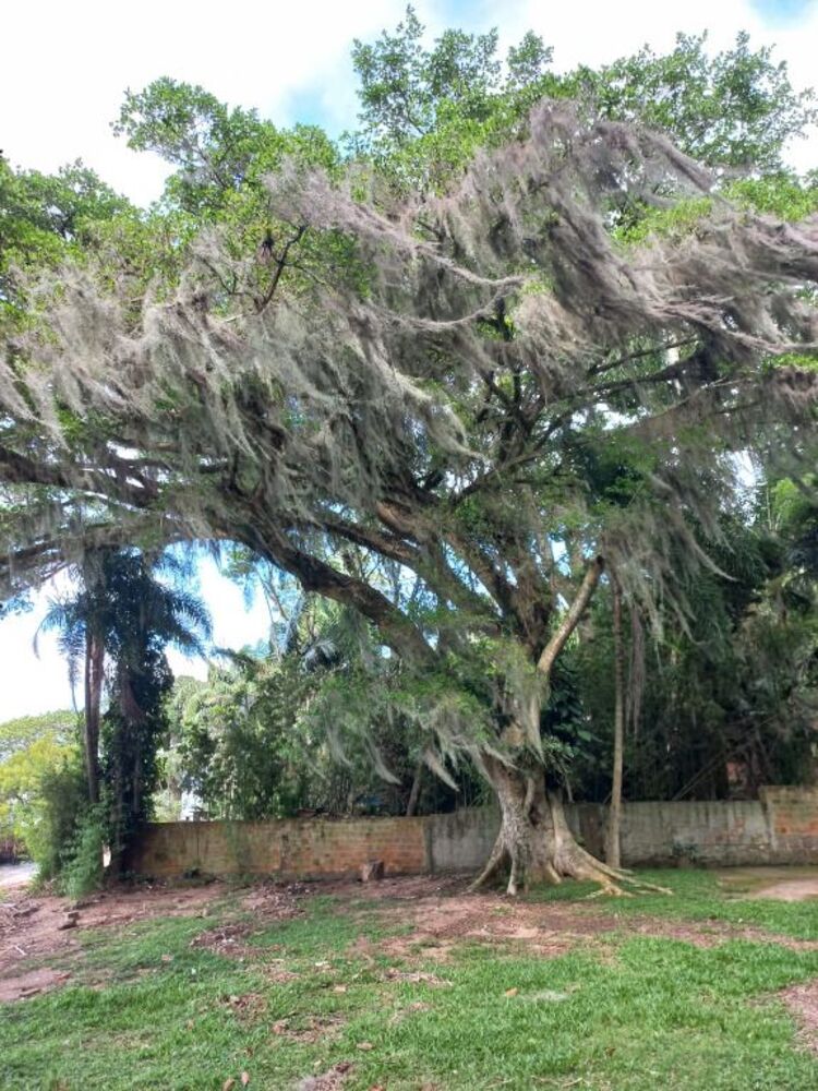 Casa, 3 quartos, 120 m² - Foto 18