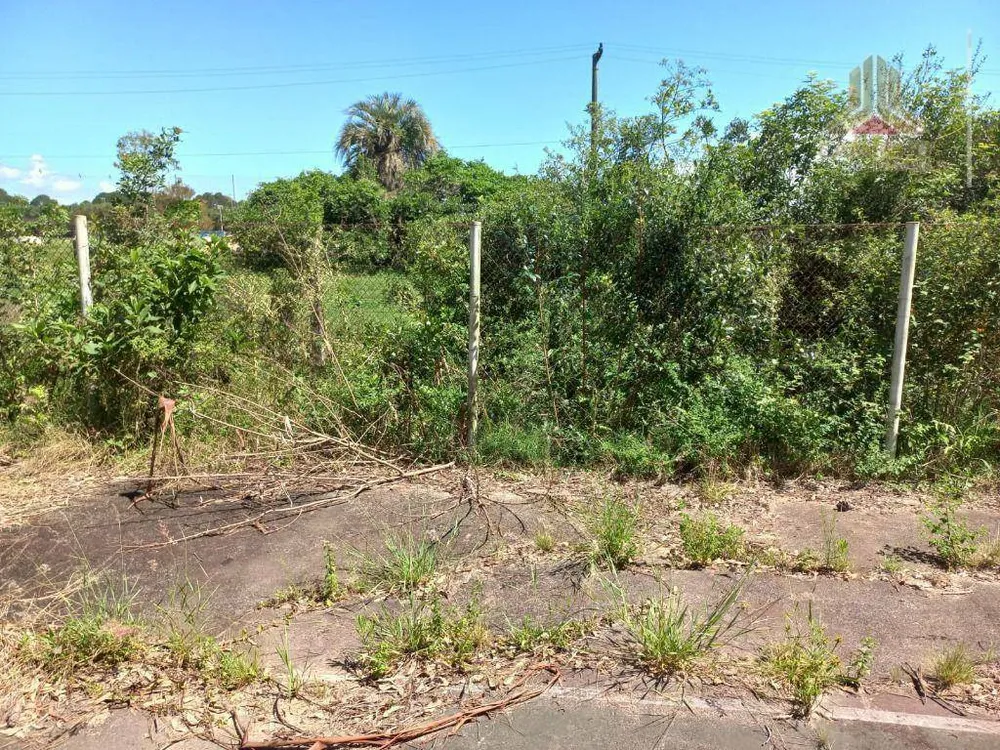 Terreno, 9 hectares - Foto 7