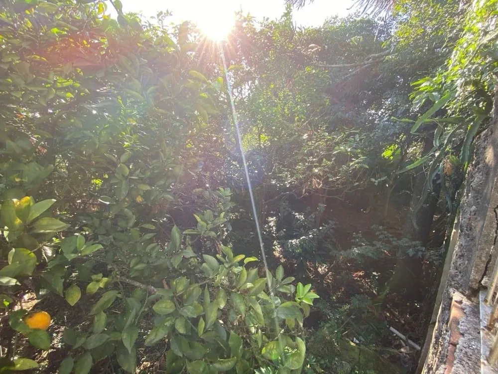 Loteamento e Condomínio - Foto 1