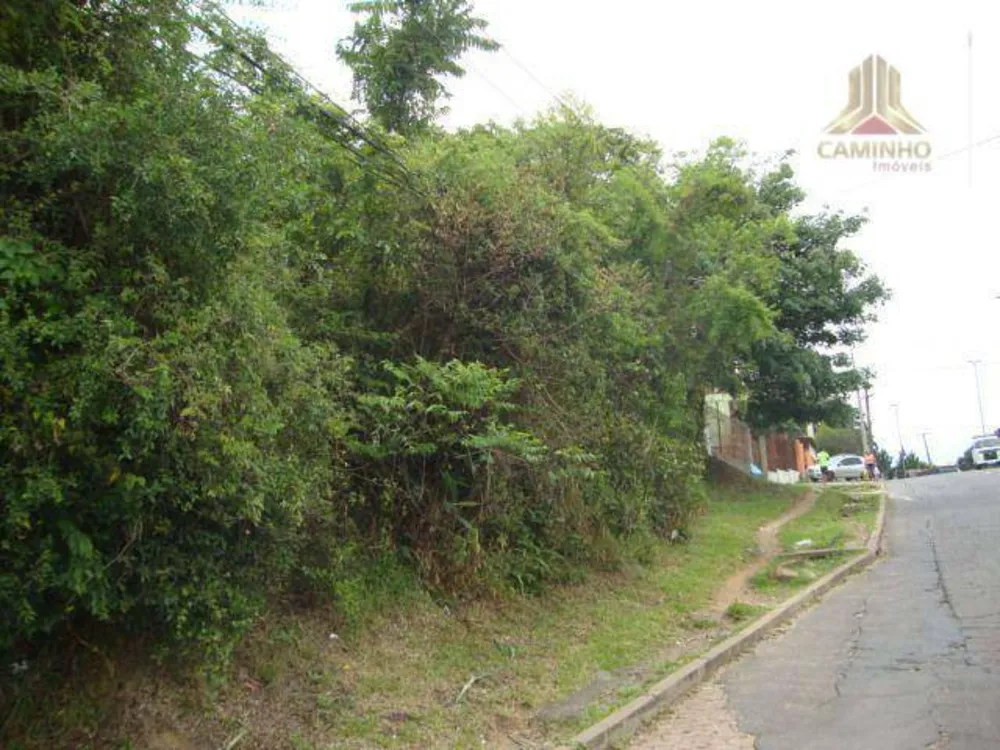 Terreno, 2853 m² - Foto 4