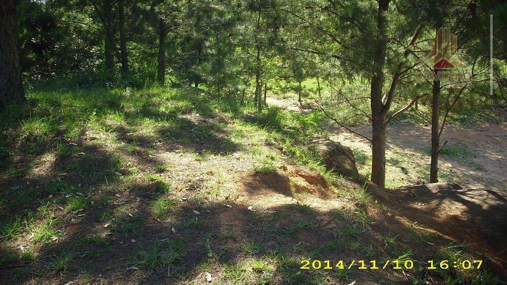 Terreno, 4 hectares - Foto 2