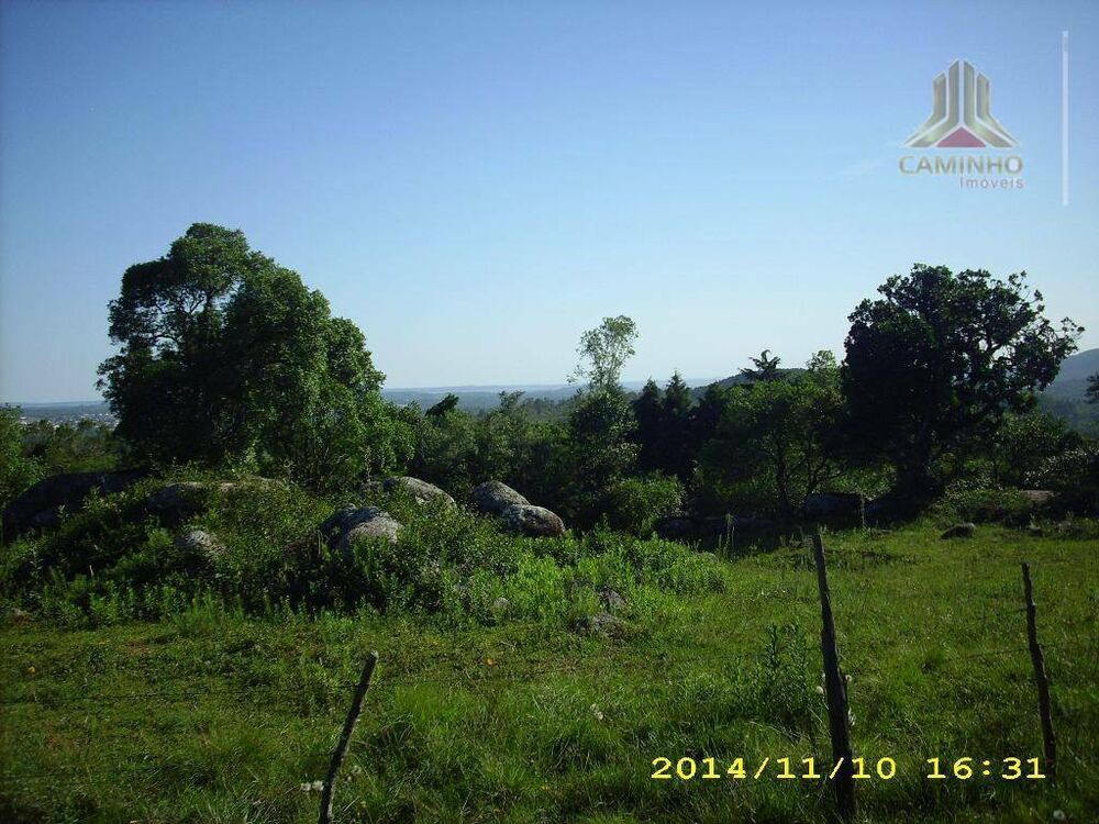 Terreno, 4 hectares - Foto 8