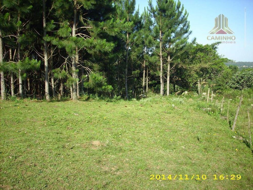 Terreno, 4 hectares - Foto 5