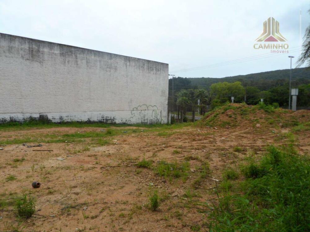 Terreno, 3846 m² - Foto 7