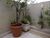 Sobrado, 4 quartos, 173 m² - Foto 2